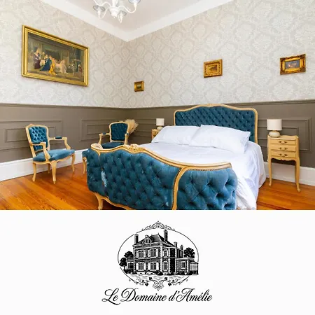 Le Domaine D'amélie Dombasle-sur-Meurthe