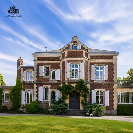 Le Domaine D'amélie * Dombasle-sur-Meurthe